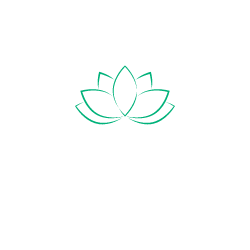 Fresh House 
